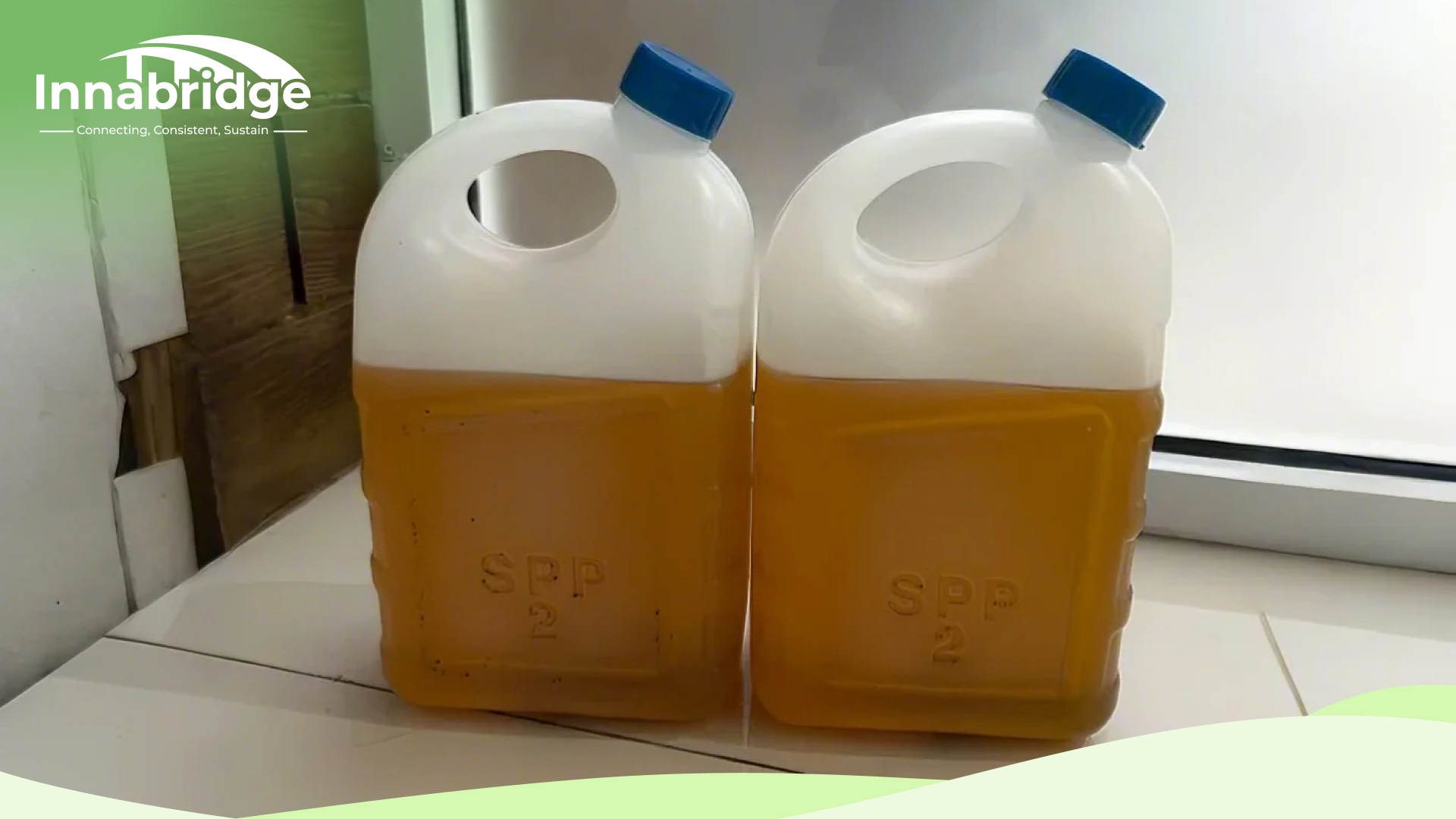 Crude Palm Kernel Oil